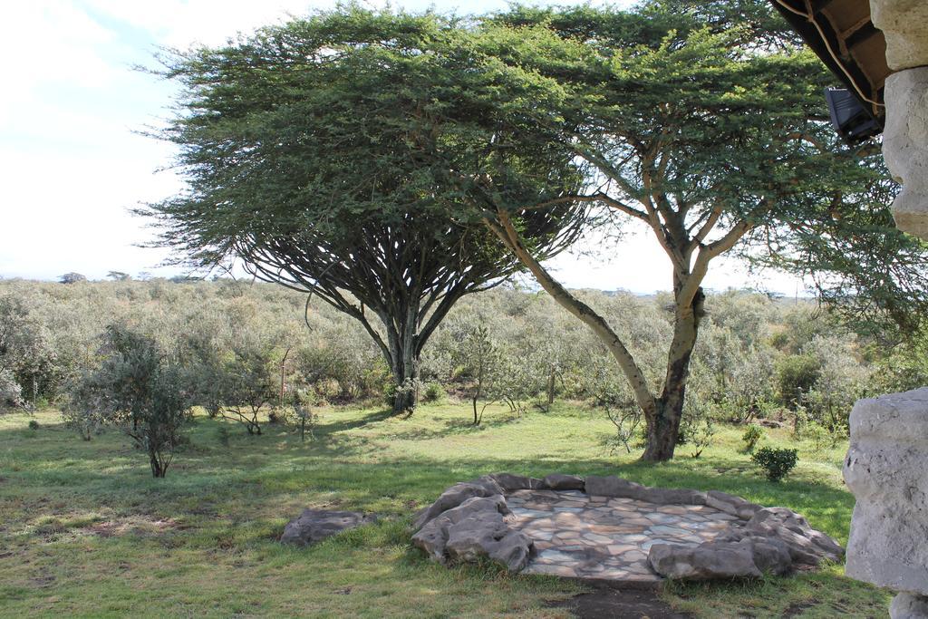 Shwari Cottages Naivasha Buitenkant foto