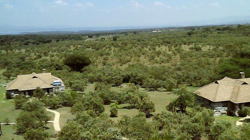 Shwari Cottages Naivasha Buitenkant foto